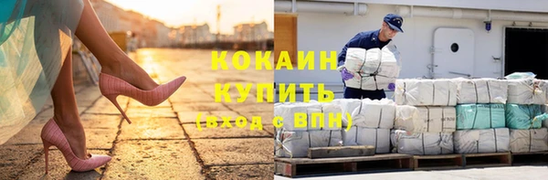 прущие грибы Инта
