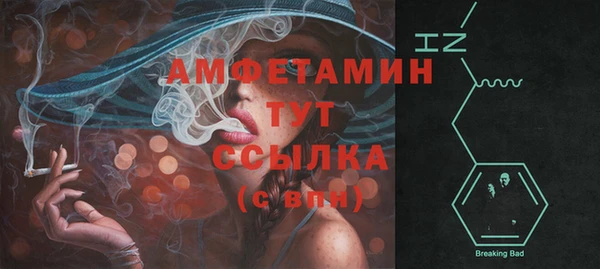 прущие грибы Инта