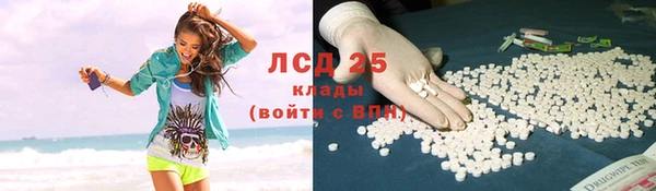 прущие грибы Инта