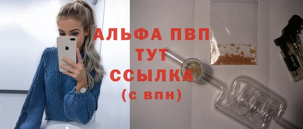 прущие грибы Инта