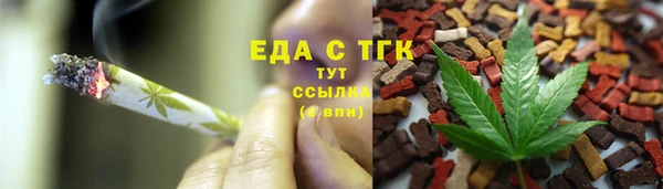 прущие грибы Инта