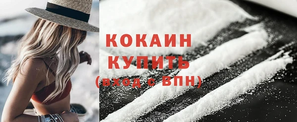прущие грибы Инта