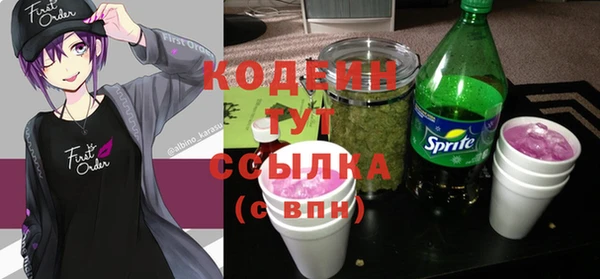 прущие грибы Инта